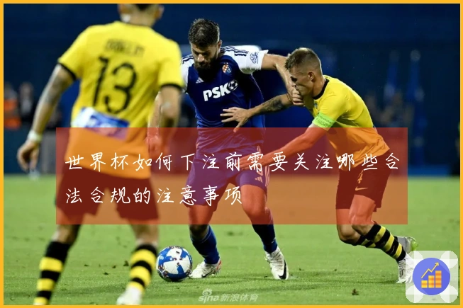 世界杯如何下注前需要关注哪些合法合规的注意事项