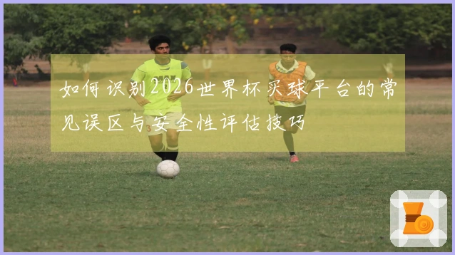 如何识别2026世界杯买球平台的常见误区与安全性评估技巧