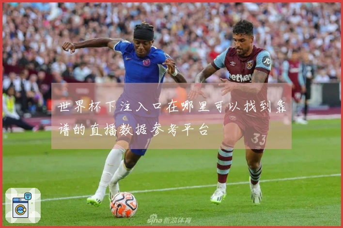 世界杯下注入口在哪里可以找到靠谱的直播数据参考平台