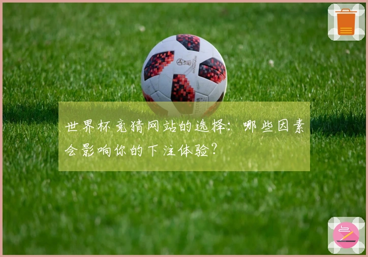 世界杯竞猜网站的选择：哪些因素会影响你的下注体验？