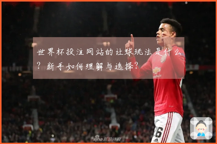 世界杯投注网站的让球玩法是什么？新手如何理解与选择？