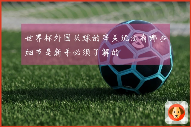 世界杯外围买球的串关玩法有哪些细节是新手必须了解的