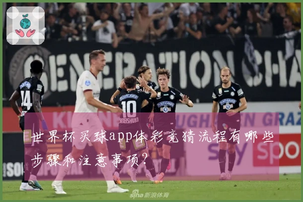 世界杯买球app体彩竞猜流程有哪些步骤和注意事项？