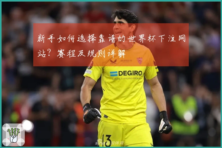 新手如何选择靠谱的世界杯下注网站？赛程及规则详解