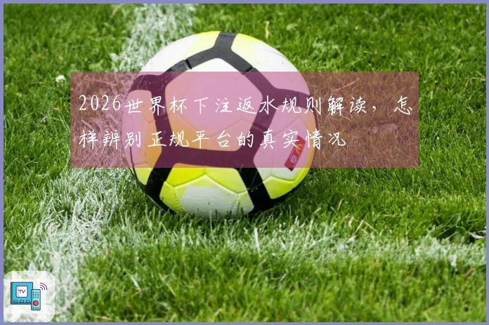 2026世界杯下注返水规则解读，怎样辨别正规平台的真实情况