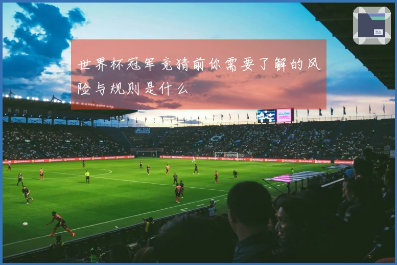 世界杯冠军竞猜前你需要了解的风险与规则是什么