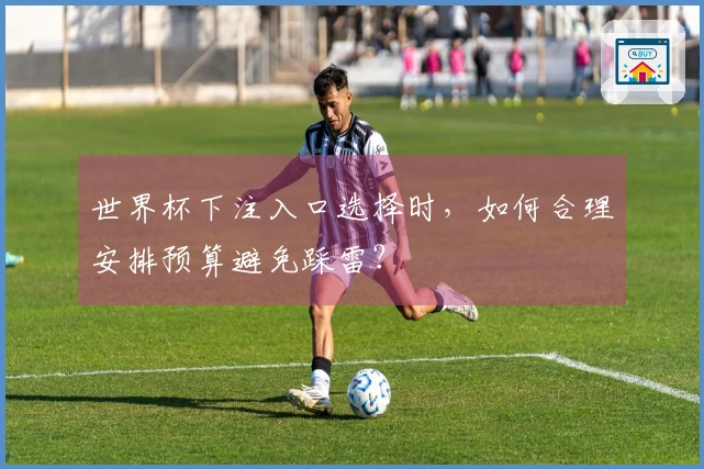 世界杯下注入口选择时,如何合理安排预算避免踩雷?