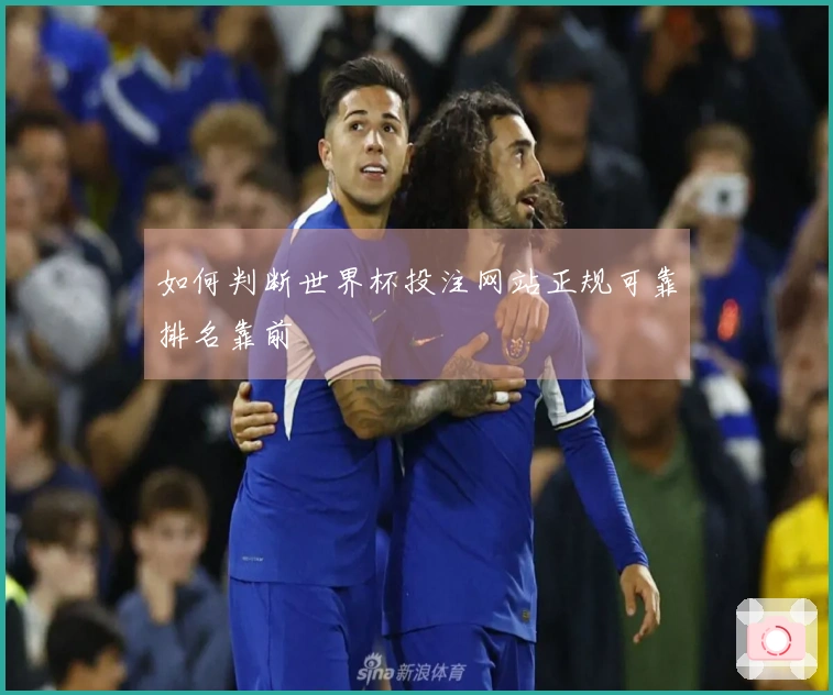 如何判断世界杯投注网站正规可靠排名靠前