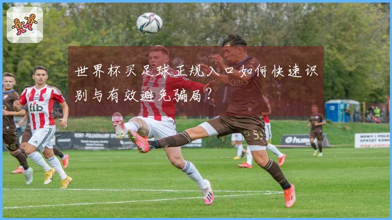 世界杯买足球正规入口如何快速识别与有效避免骗局？