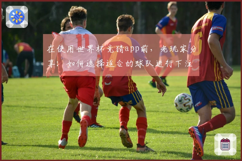在使用世界杯竞猜app前，老玩家分享：如何选择适合的球队进行下注？