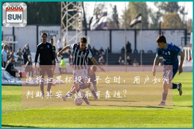 选择世界杯投注平台时，用户如何判断其安全性和可靠性？