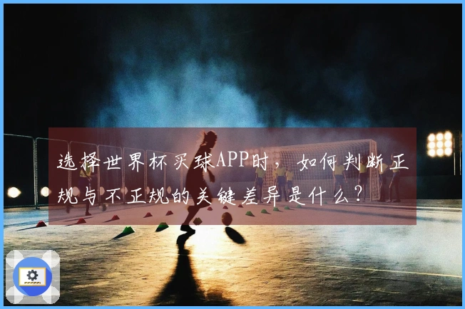 选择世界杯买球APP时，如何判断正规与不正规的关键差异是什么？