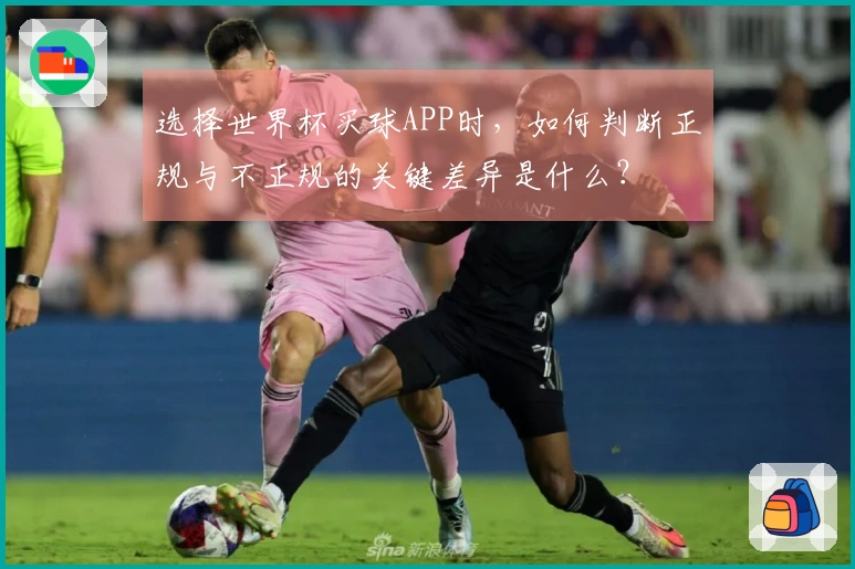 选择世界杯买球APP时，如何判断正规与不正规的关键差异是什么？