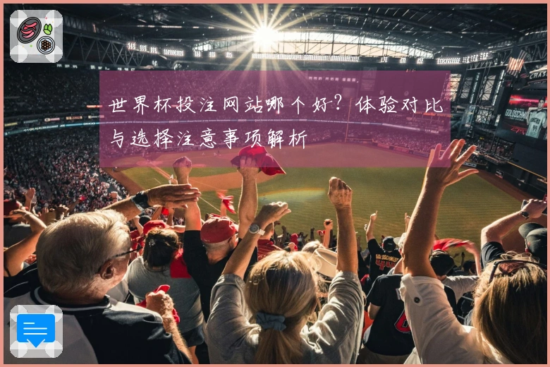 世界杯投注网站哪个好？体验对比与选择注意事项解析