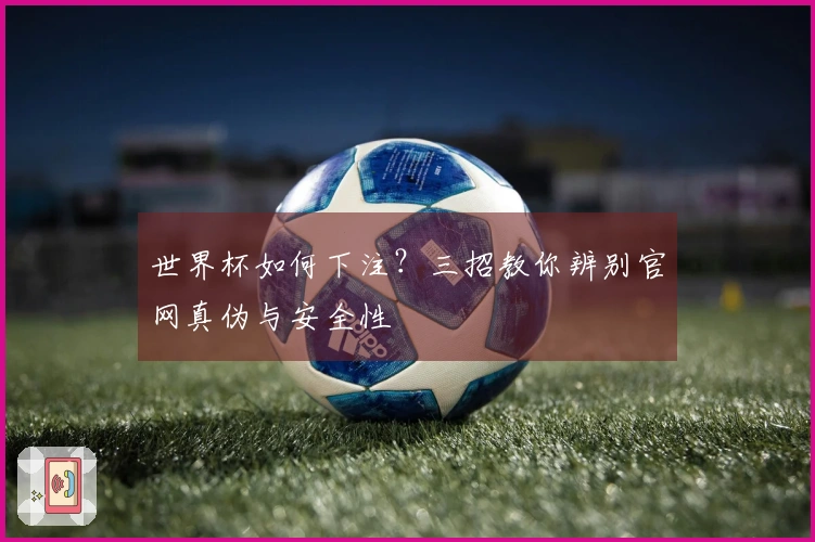 世界杯如何下注？三招教你辨别官网真伪与安全性