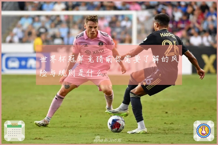世界杯冠军竞猜前你需要了解的风险与规则是什么