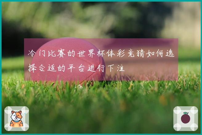 冷门比赛的世界杯体彩竞猜如何选择合适的平台进行下注
